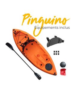 Galaxy Kayaks Pinguino v2 2
