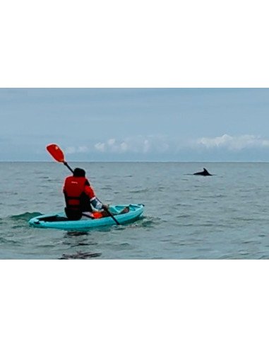 Kayak individuel rigide REEF premier prix tout équipe