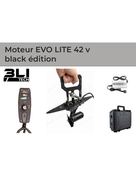 Moteur EVO LITE 1 cv 42 v
