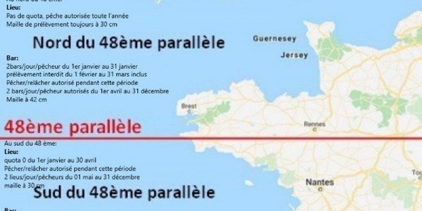 Pêche de loisir du bar et du lieu jaune